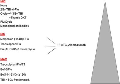 Conditioning Perspectives for Primary Immunodeficiency Stem Cell Transplants